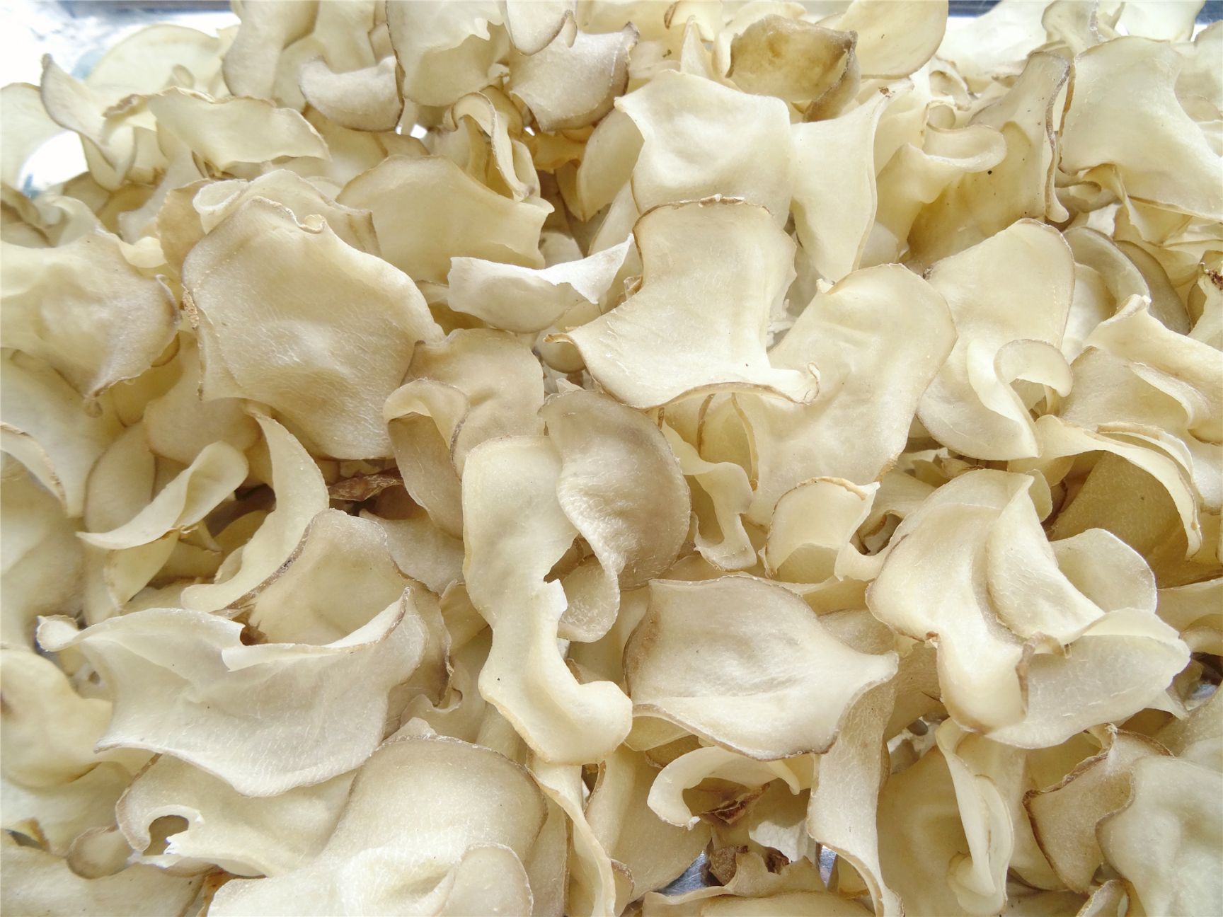 干土豆  21年新土豆干片洋芋片马铃薯干片