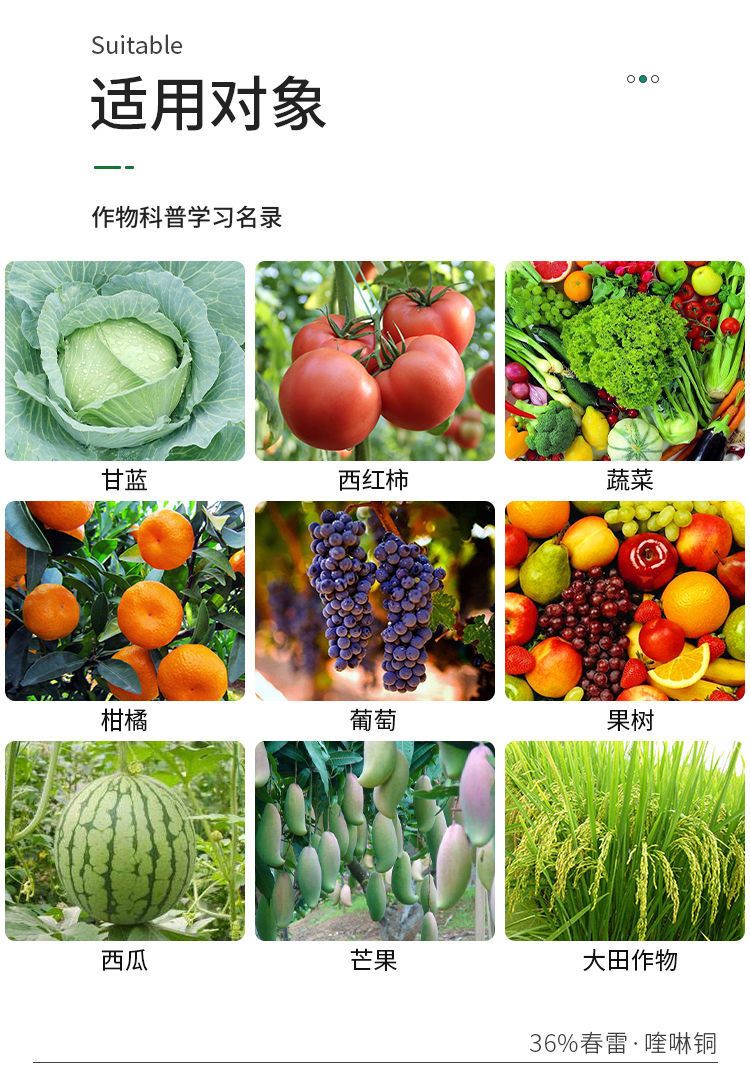 36%春雷喹啉铜溃疡病角斑病软腐病稻瘟病细菌病害专用杀菌剂