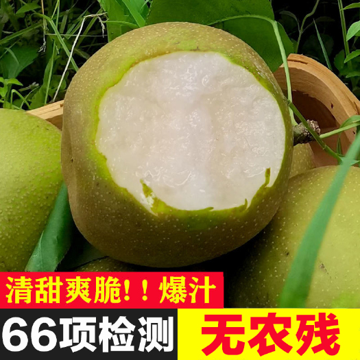 钟祥市（顺丰包邮）湖北大柴湖翠冠梨