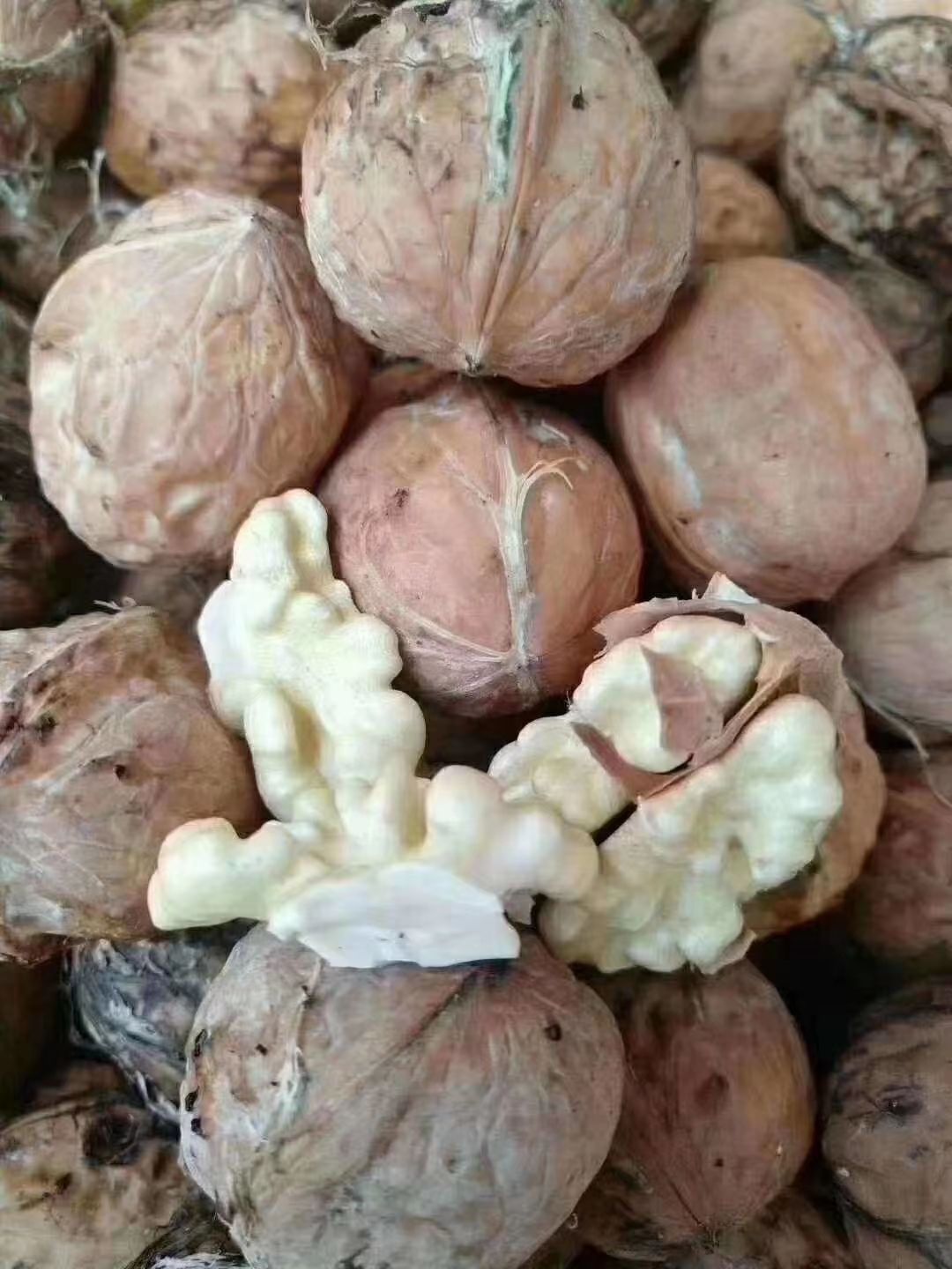 青皮核桃  去皮核桃正在上市中