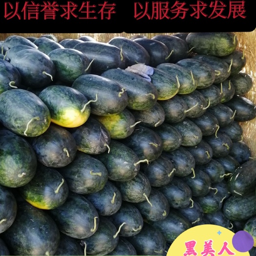 太康县黑美人西瓜  一茬瓜【甜蜜上市】实力代办 诚信为本