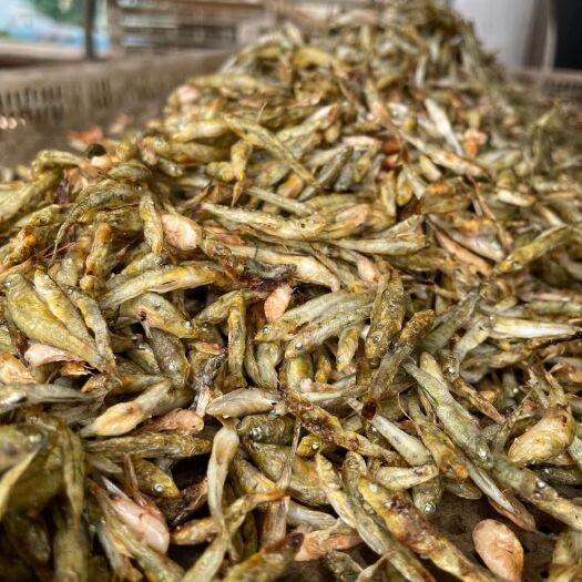 赣州黄鱼干  小黄鱼鱼干