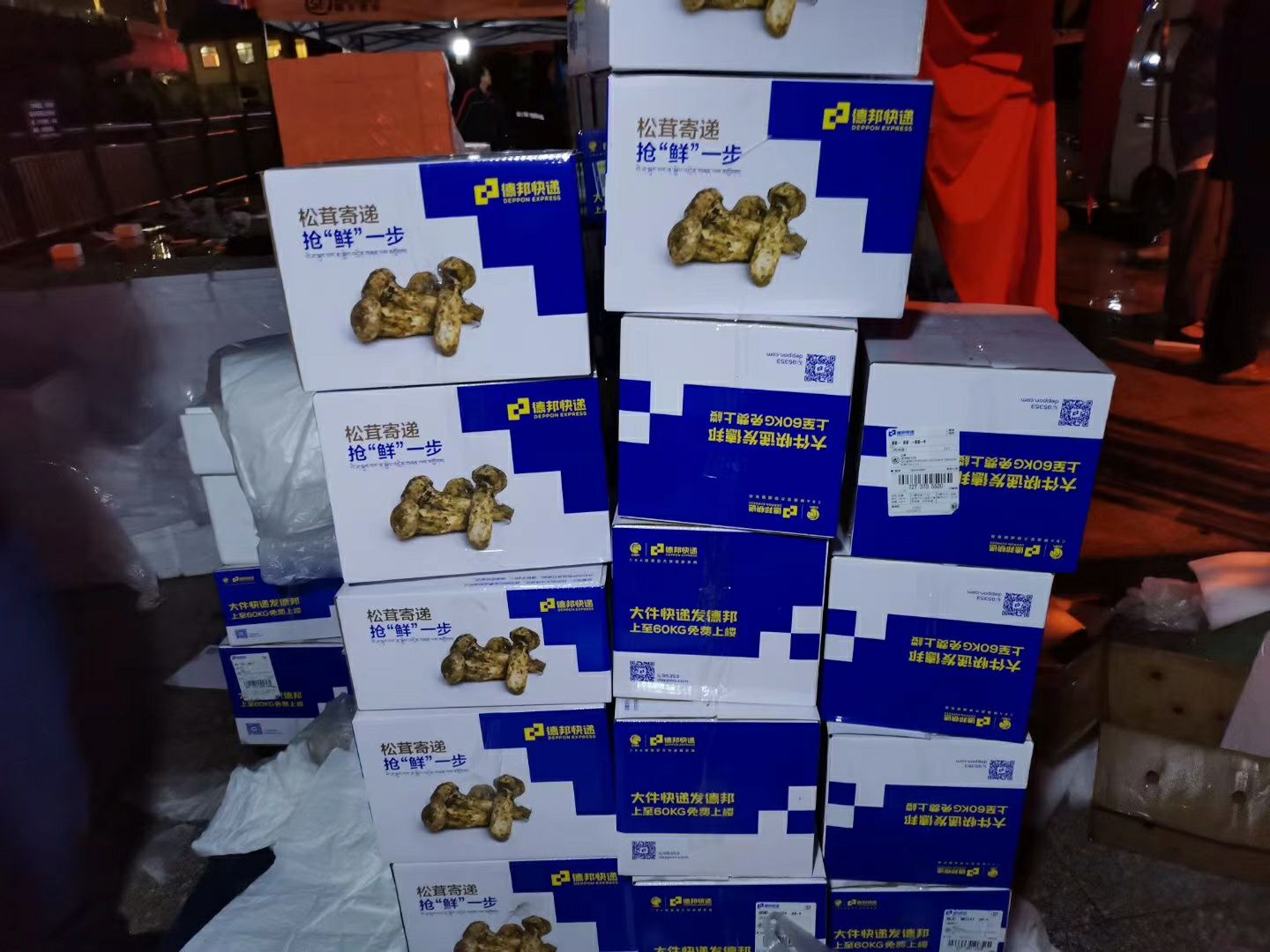 鲜松茸 松茸