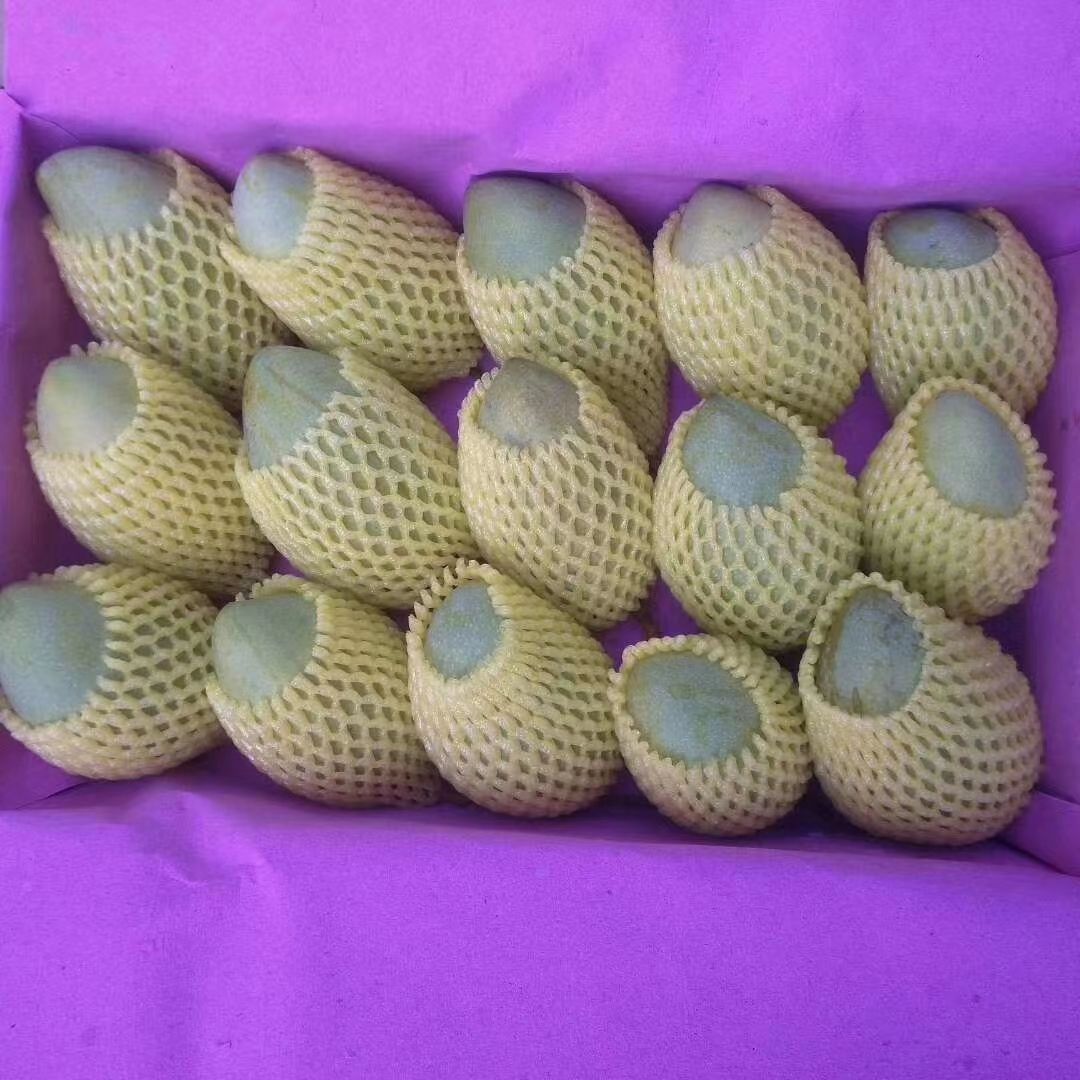 金煌芒  套袋金煌，黄皮金煌