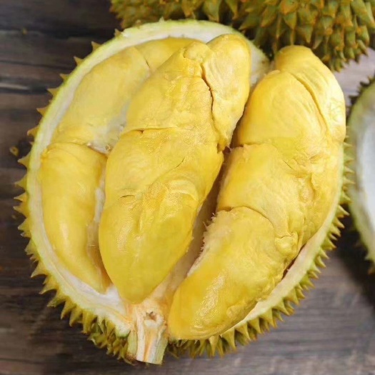 广州 金枕榴莲大拇指牌，B5-6，32斤净重，四房以上，580/件