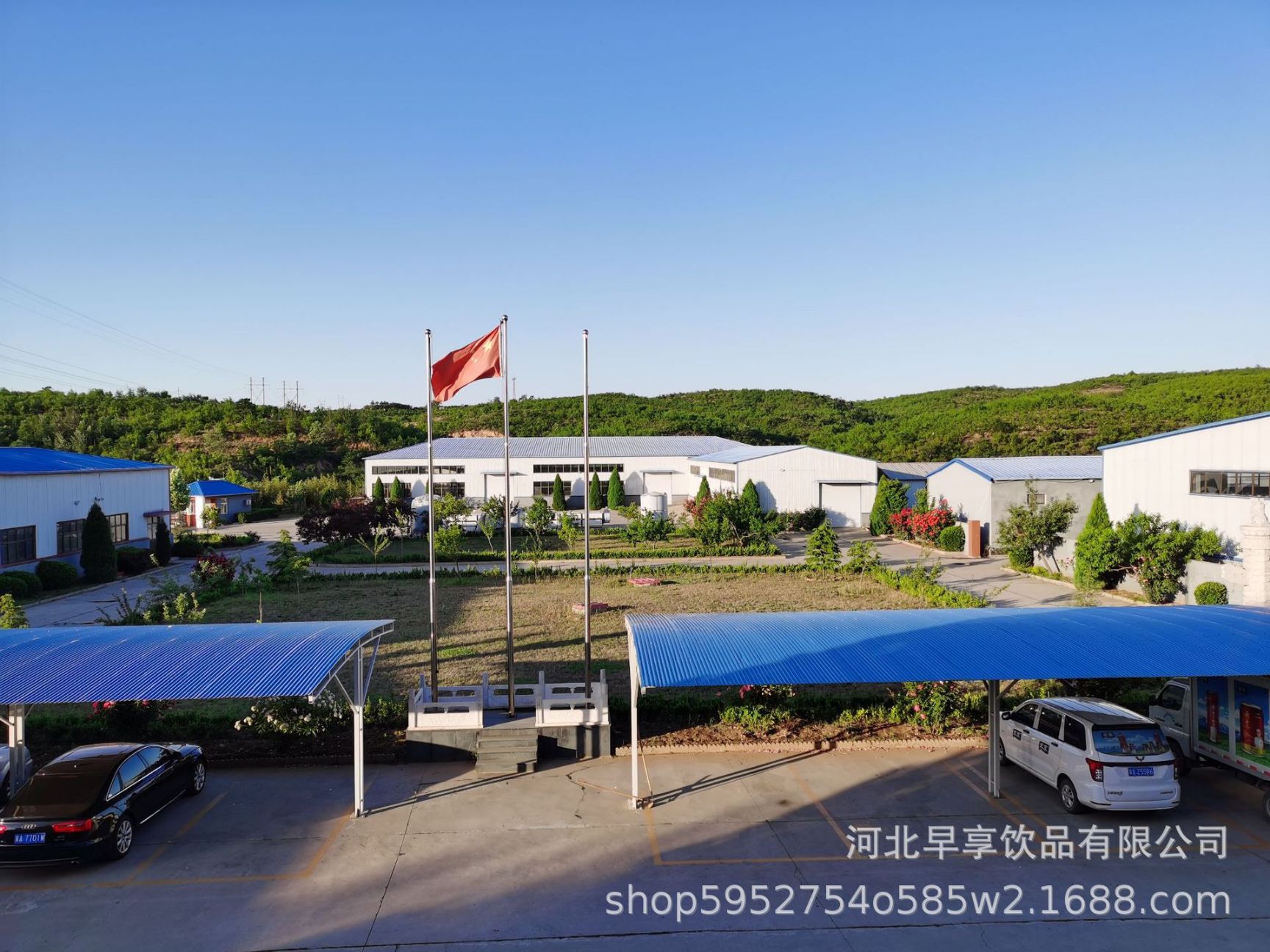 薄皮核桃  四路核桃仁，面包，蛋糕添加，出口内销，欢迎详询