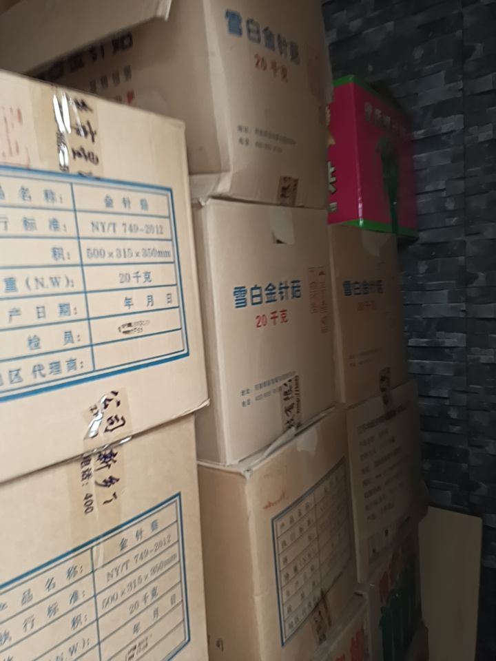 干平菇 