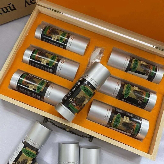 清原县 俄罗斯桦树茸