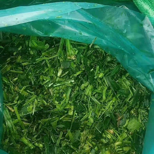 始兴县青贮饲料  玉米秸秆青储