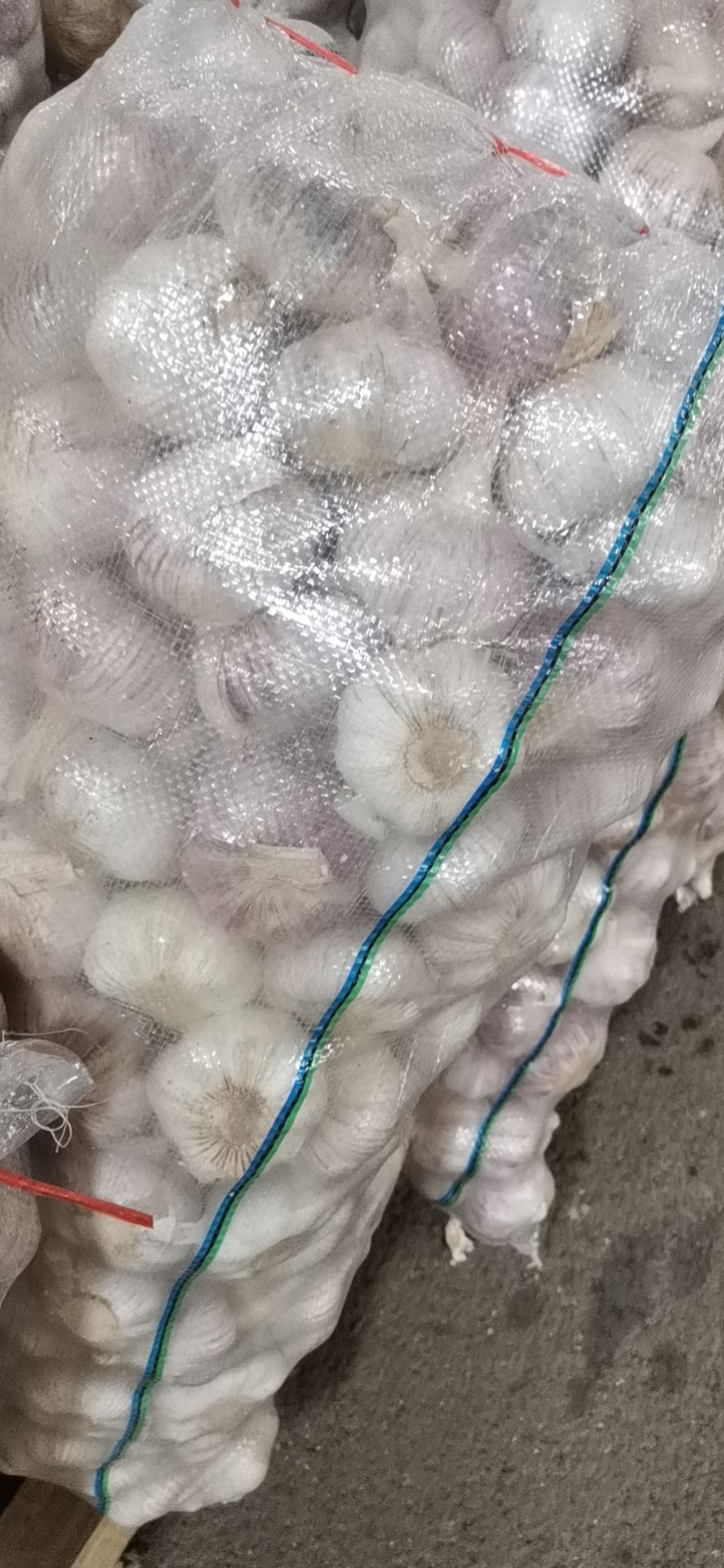 白皮蒜 大蒜  江苏邳州大蒜