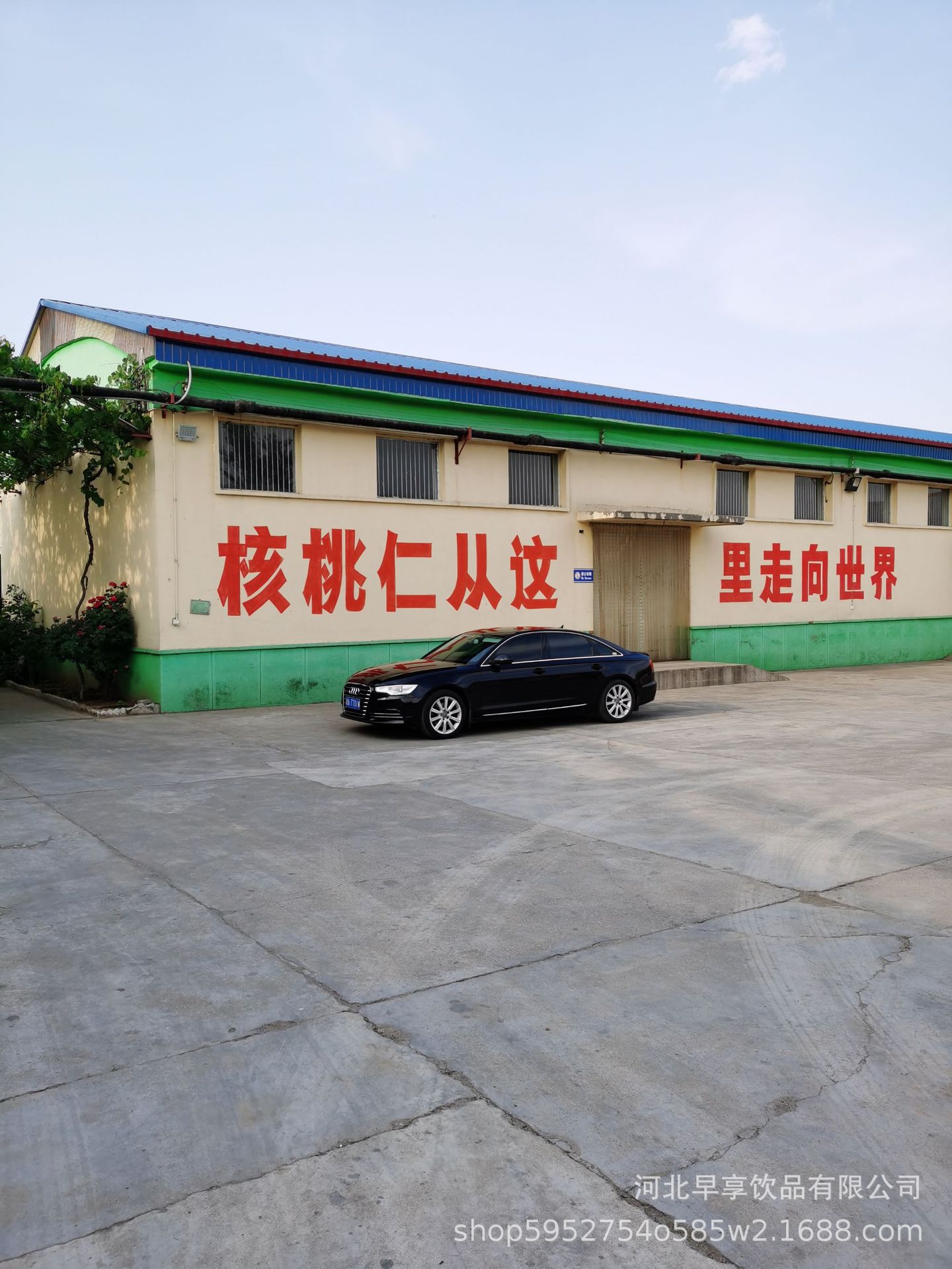 薄皮核桃  四路核桃仁，面包，蛋糕添加，出口内销，欢迎详询