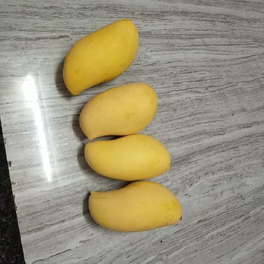 保山鹰嘴芒果 鹰嘴芒，甜度高