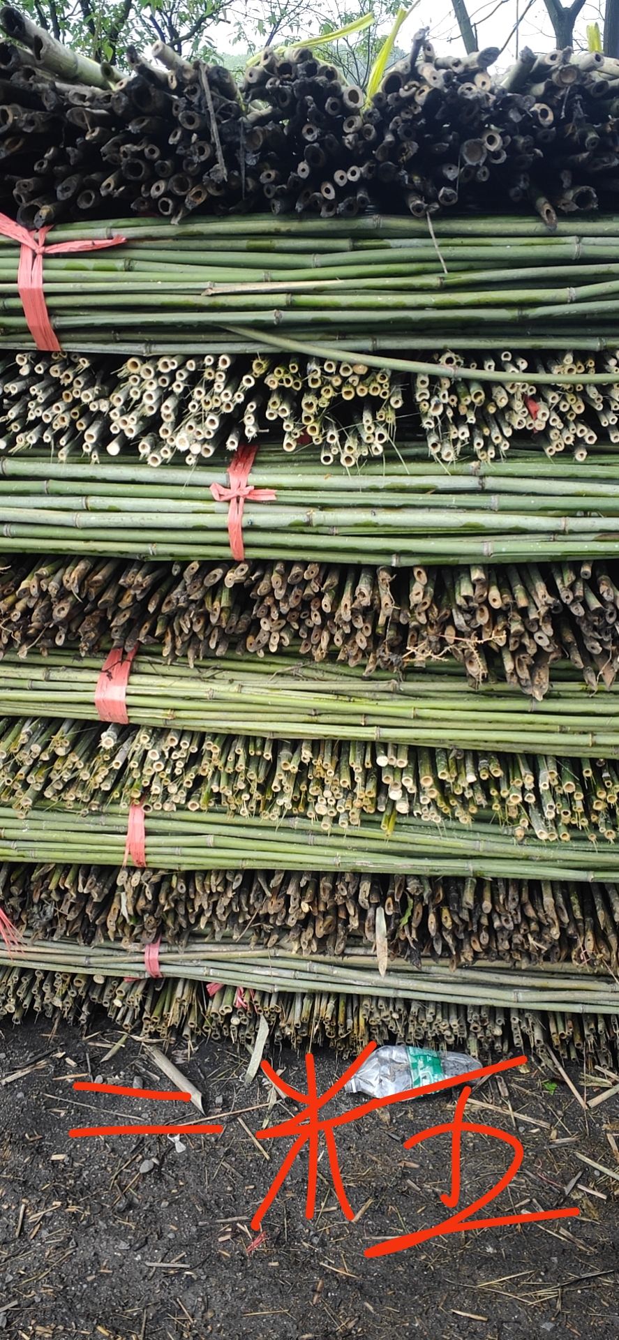  绿化竹竿大量批发，西红柿，豆角，等等。