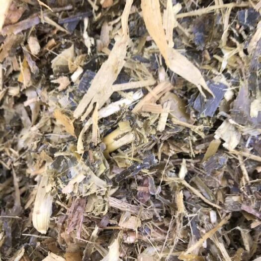 沧县青贮饲料  玉米青黄储草牛羊饲草
