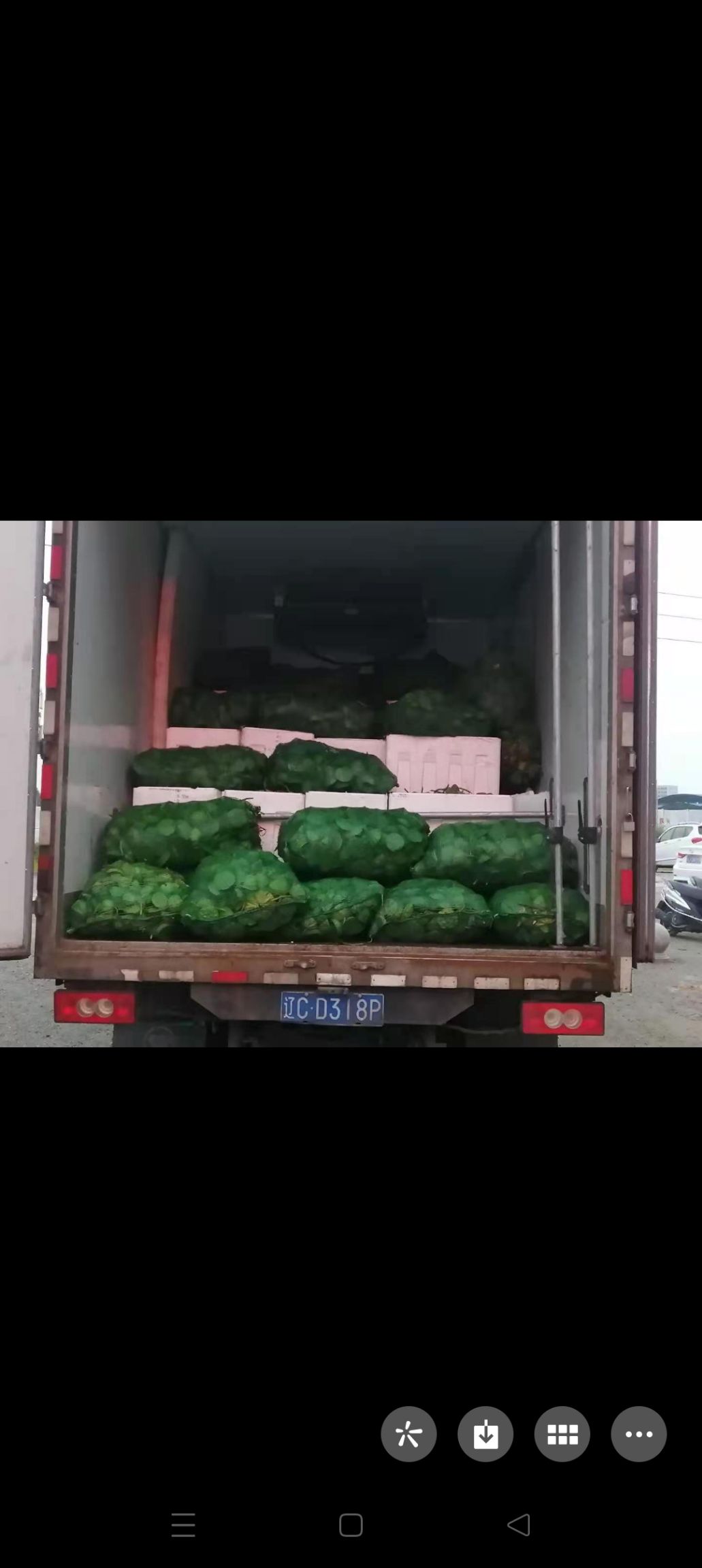 莲蓬新鲜现摘现卖莲子米水果莲嫩莲蓬老莲子广东产地直销大量供应