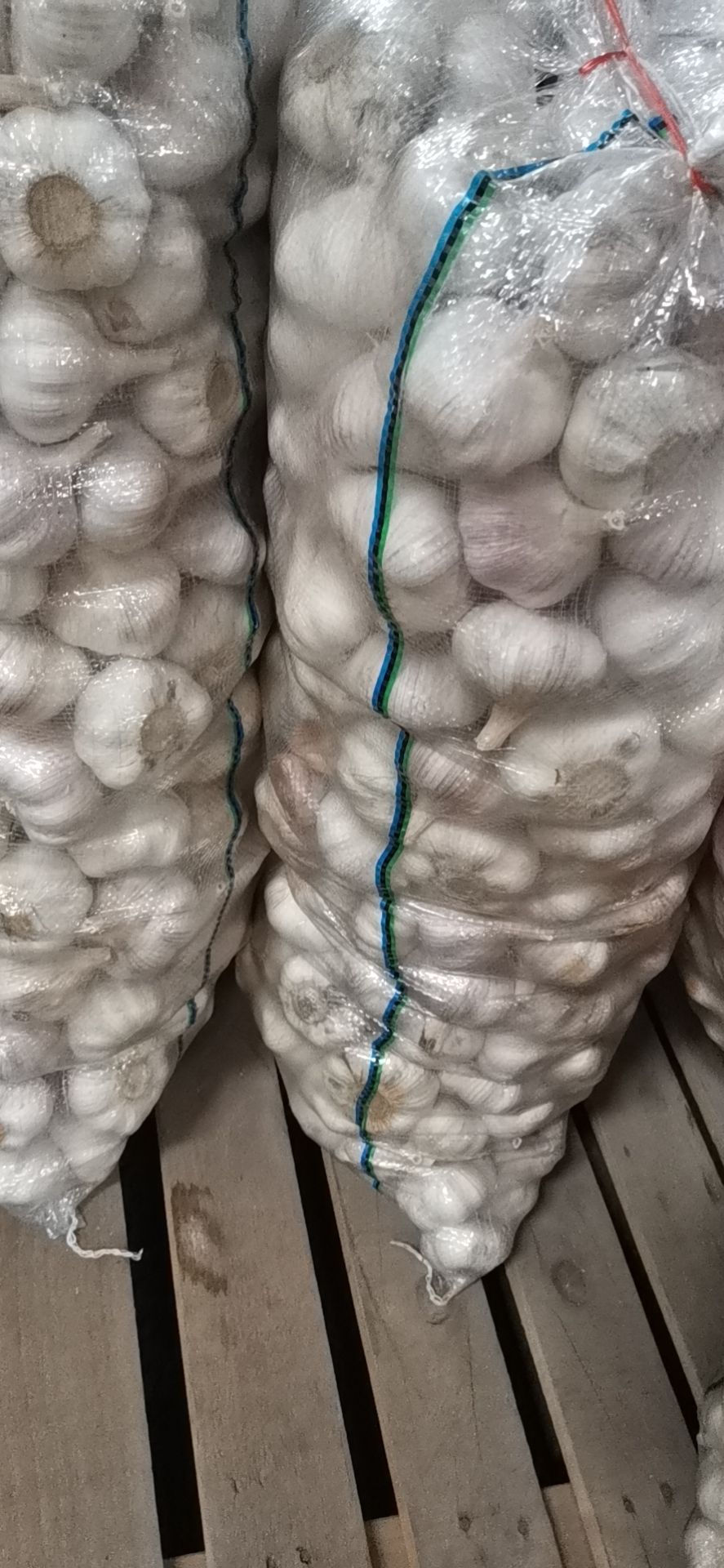 白皮蒜 大蒜  江苏邳州大蒜