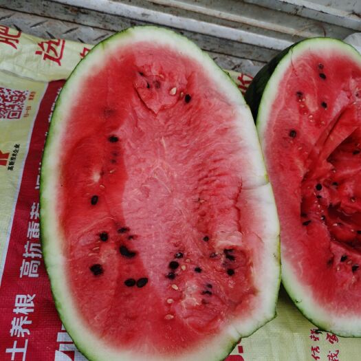 夏邑县冠龙西瓜大量上市，基地直供