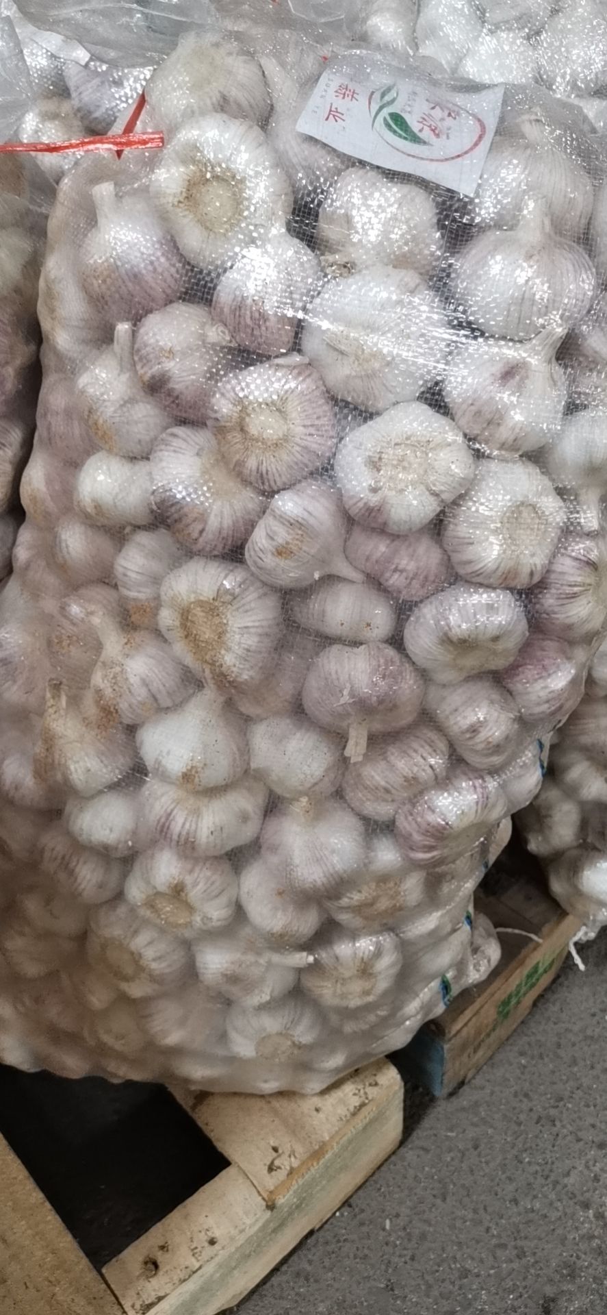 白皮蒜 大蒜  江苏邳州大蒜
