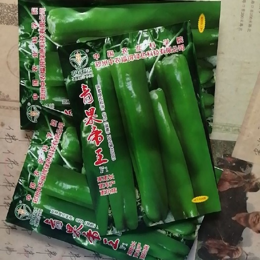 夏邑县牛角椒种子  中农福得青果帝王F1 果更长 更丰产 更抗病连续坐果能力强