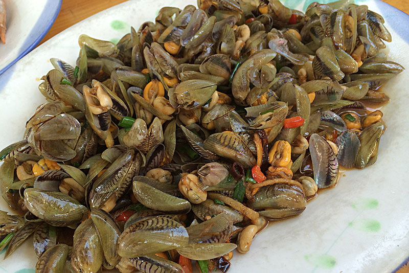 海瓜子 海瓜子活鲜 薄壳  可清炒 煮汤