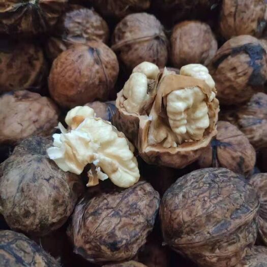 思茅薄皮核桃 云南普洱景东核桃