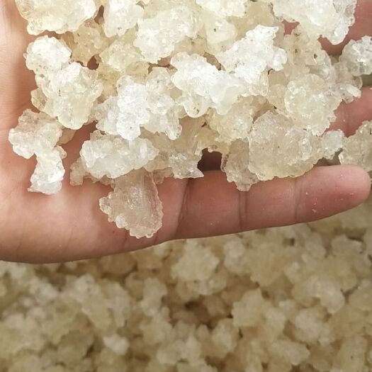 六安雪燕，拉丝雪燕