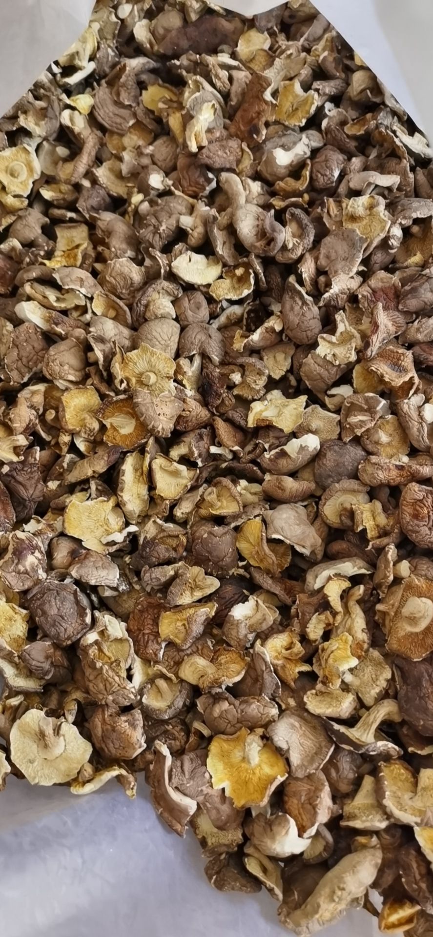 泌阳县河南优质产源地 干香菇碎片肉厚 干度好产地直发 常年供应花菇