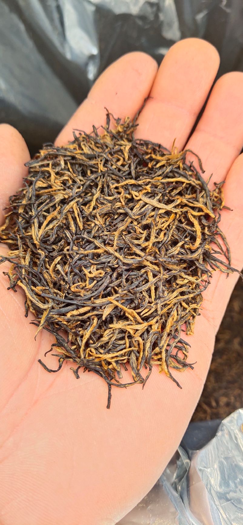 明前特级纯手工祁门红茶祁红金针