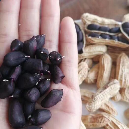思茅 云南普洱黑花生