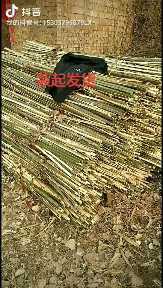 竹片，小拱棚，