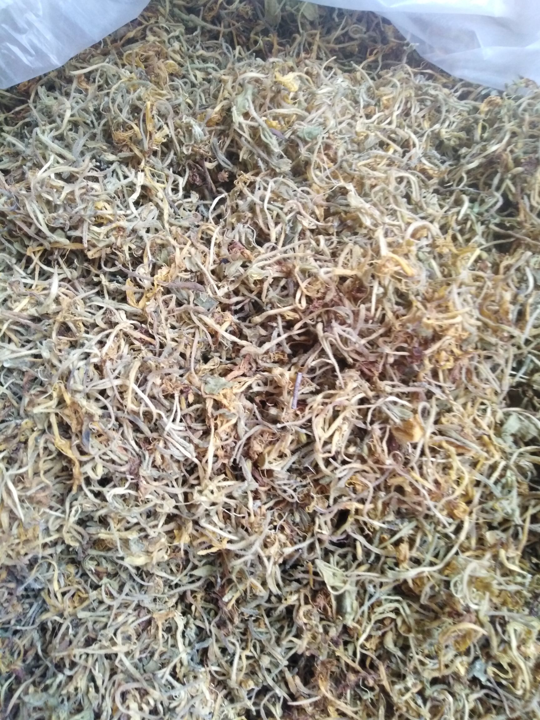 全新毛花，纯手工蒸制、自然风干的金银花茶