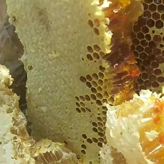 关岭县山中纯土蜂蜜。欢迎订购