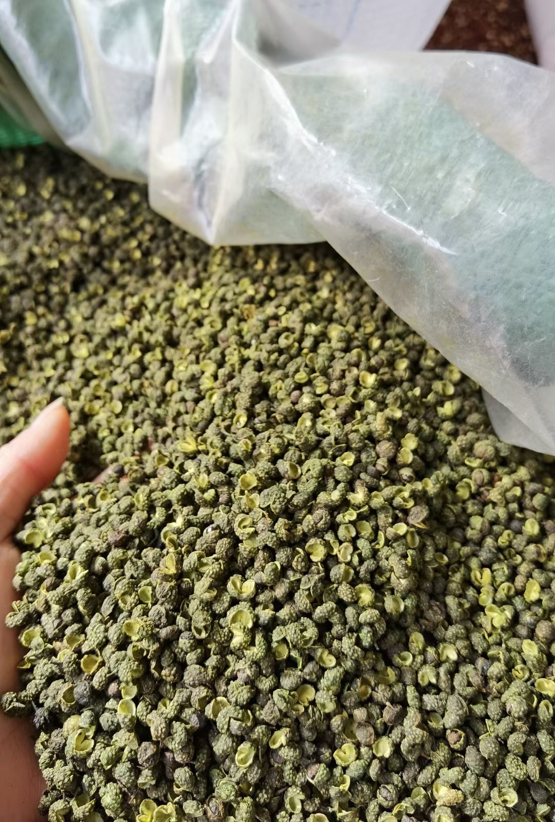 重庆青麻椒自家仓房保质保量味道麻香大货供应