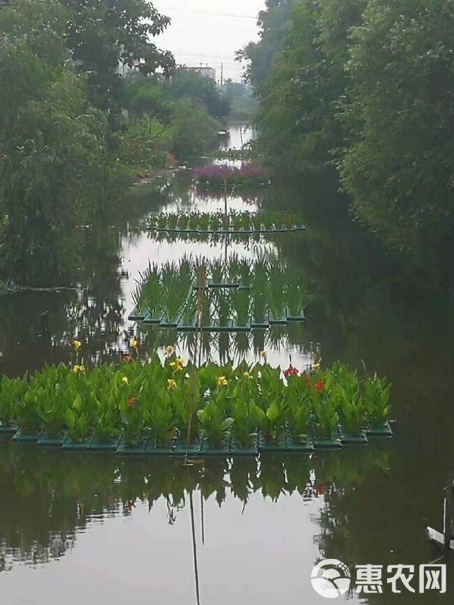 种植槽  浮岛