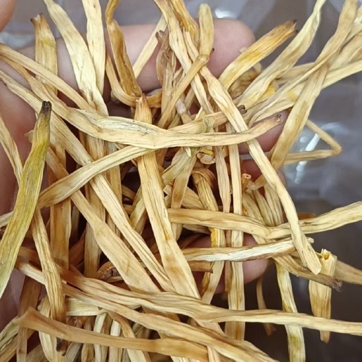 黄花菜无硫 西北产地 熟条直条蔬菜特产针金菜美味凉菜