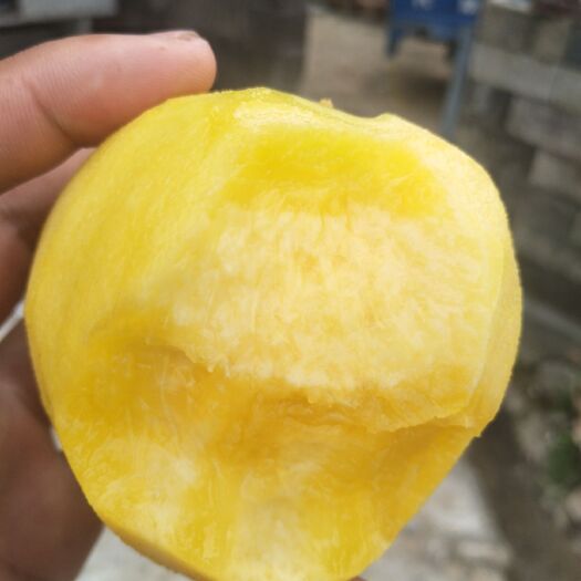 建宁县 建宁，锦绣黄桃，种了有7年了