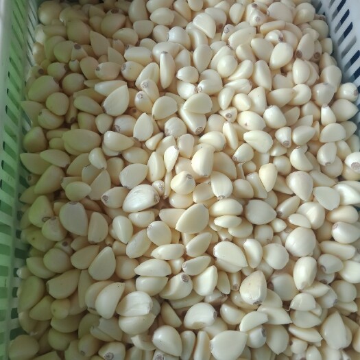 临沂纯手工蒜米