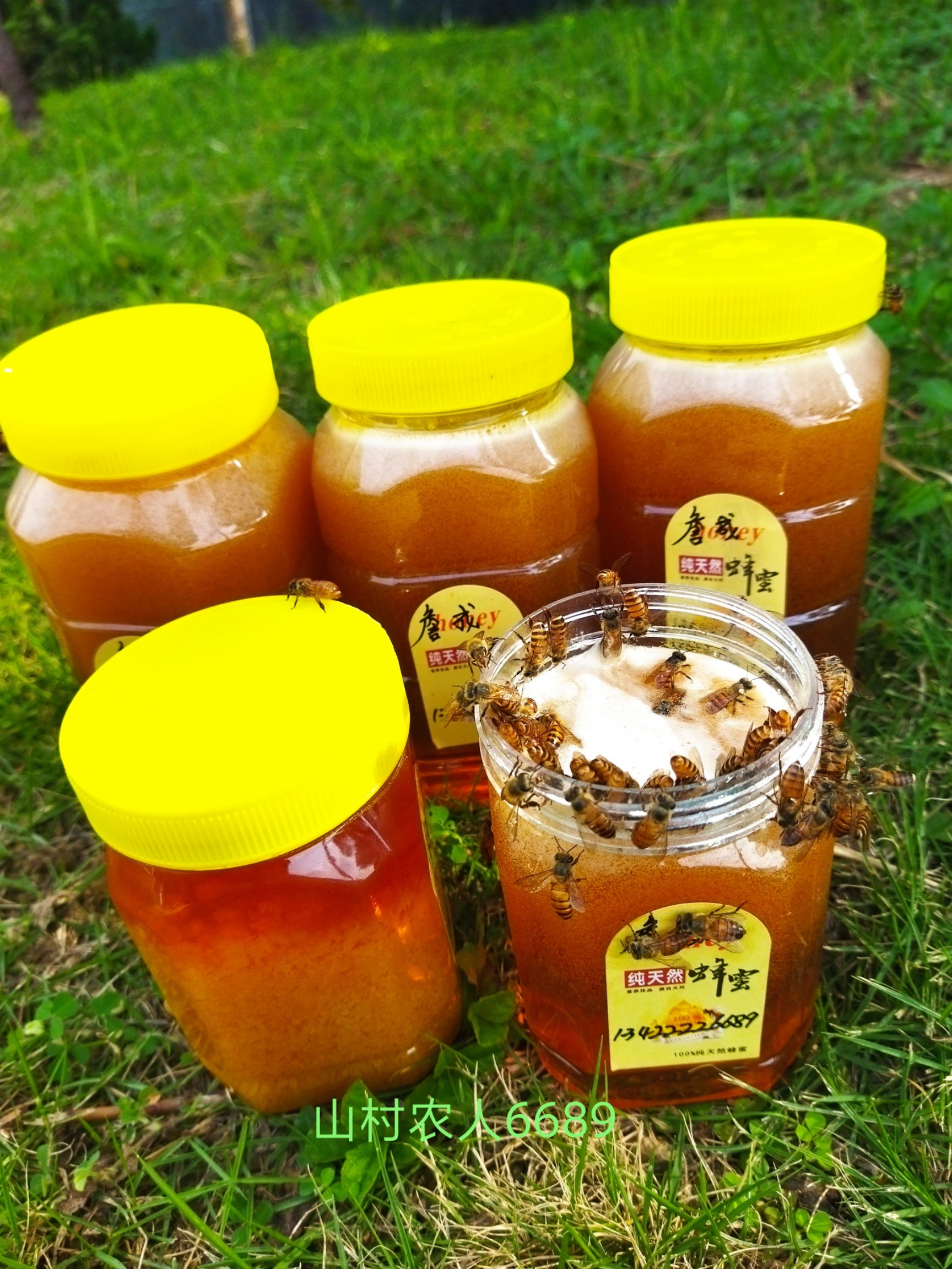 龙眼蜜  土蜂蜜纯蜂蜜