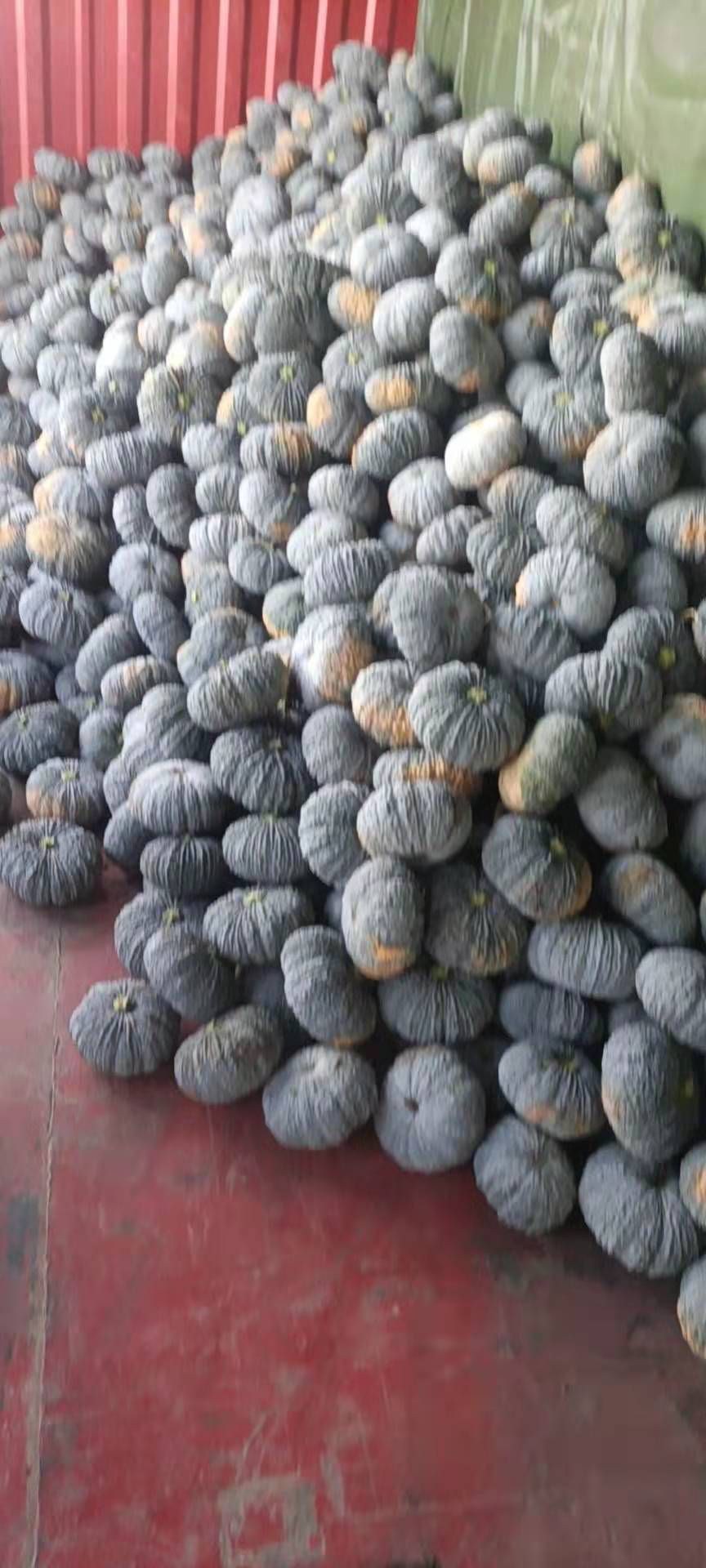 金香泰国癞可丽南瓜  南瓜