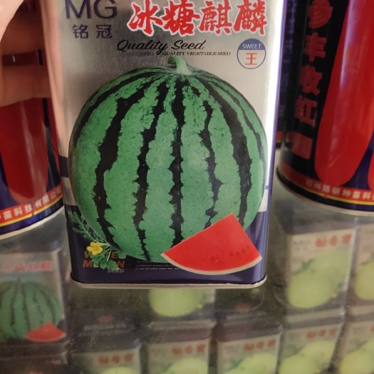 冰糖麒麟西瓜种子，