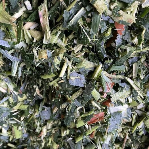 宿州 优质黄储草料，新鲜玉米秸秆刚下，产地直销，质量保证