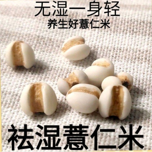 五常市生薏仁  大薏仁米小薏仁米熬粥薏仁米五谷杂粮薏仁米包邮