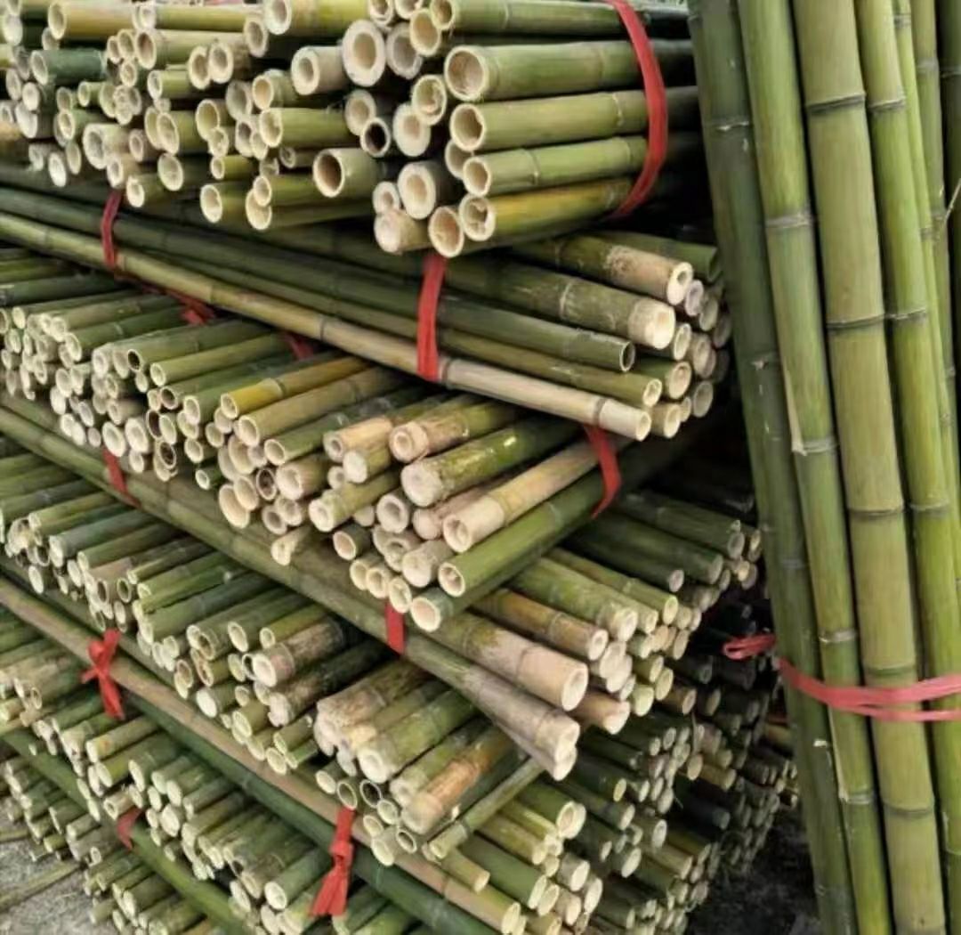 竹片，小拱棚，