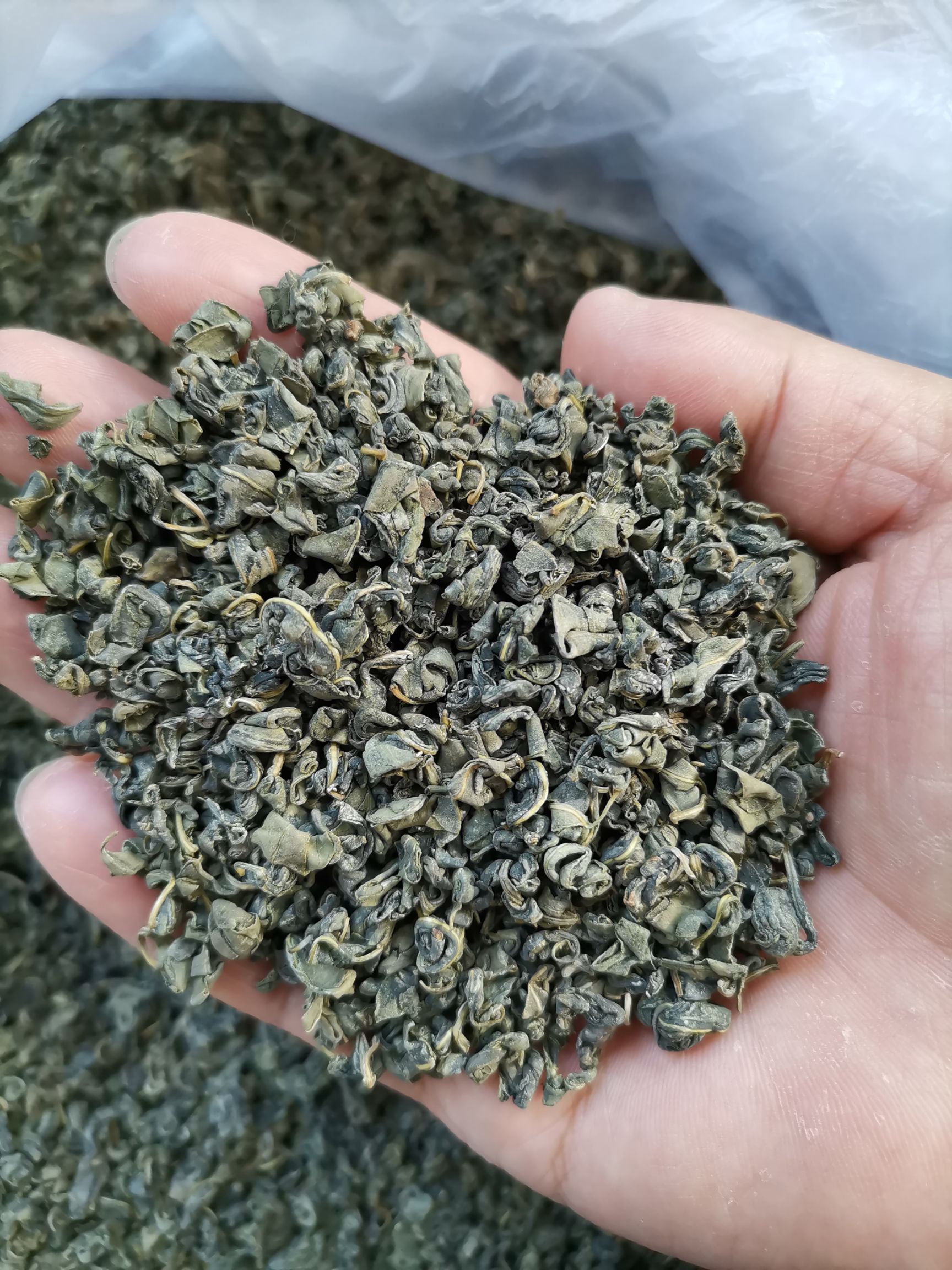 罗布麻茶   正品  新疆  天然  头茬嫩芽