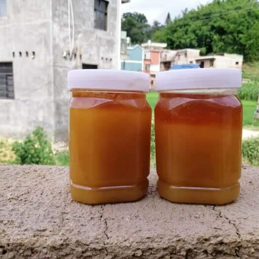 广南县蜂巢蜜 土产蜂蜜