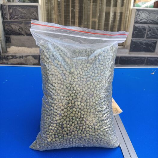 呼和浩特杂绿豆 袋装 2等品 