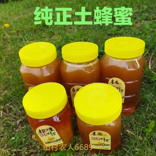佛山龙眼蜜  土蜂蜜纯蜂蜜