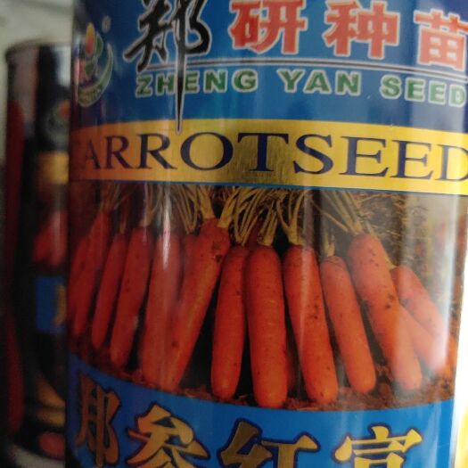 胡萝卜种子