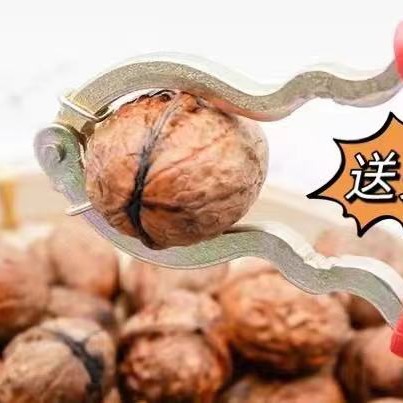 青皮核桃  大凉山盐源去青皮新鲜核桃树河核桃