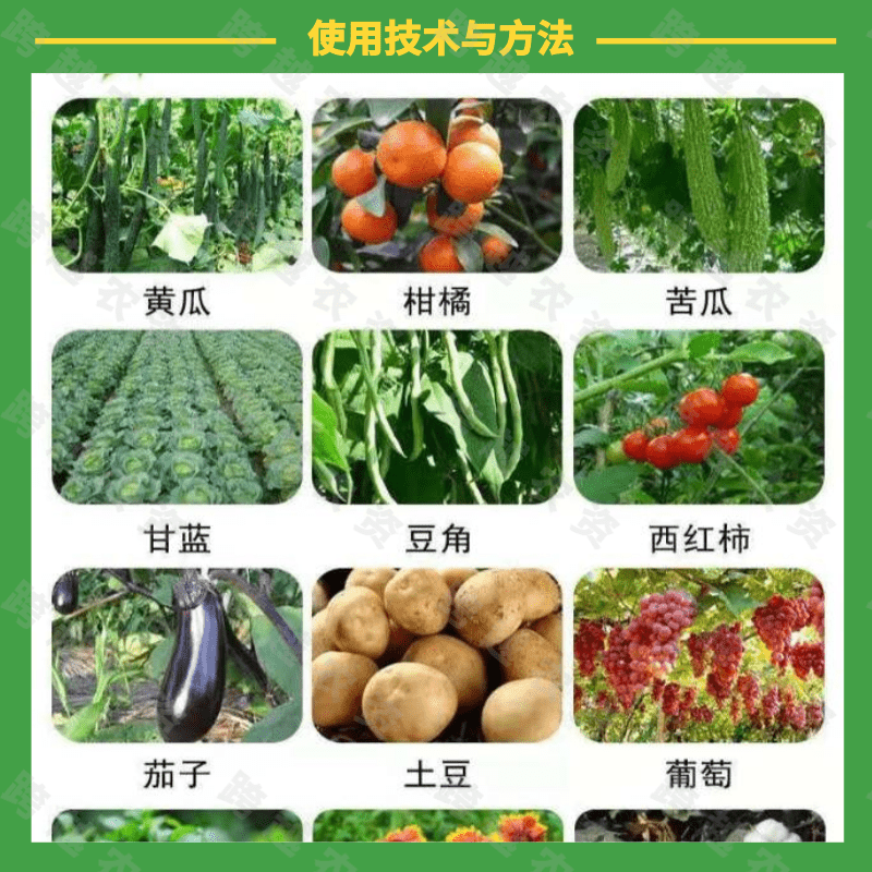 维盛高磷 高钙 大量元素叶面肥增加开花数 壮花保果 彭大果